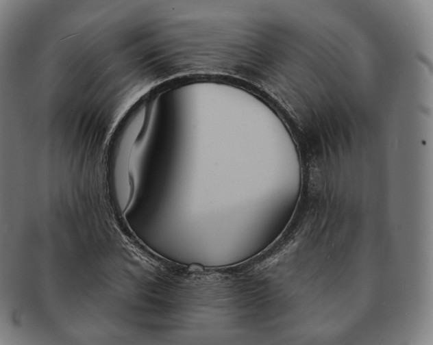 X0000091300926200708241047