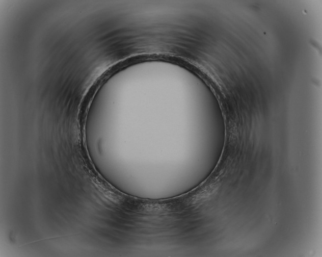 X0000091300927200708241047