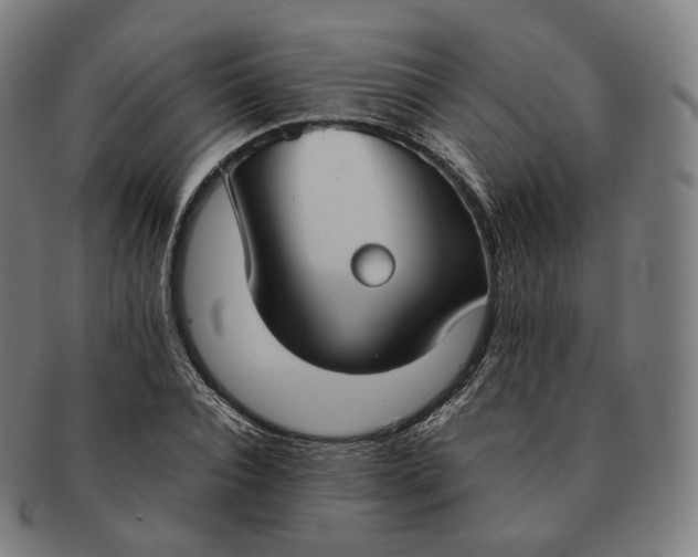 X0000091300928200708241047