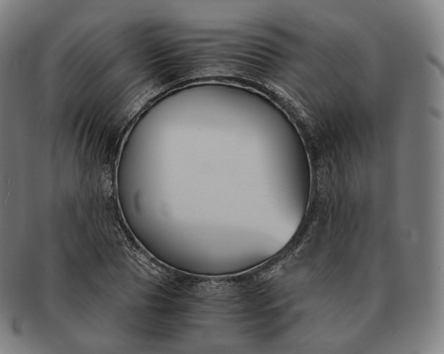 X0000091300929200708241047