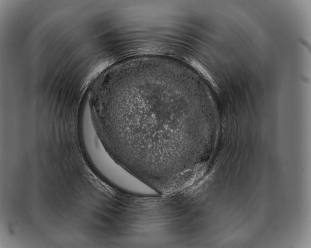 X0000091300930200708241047