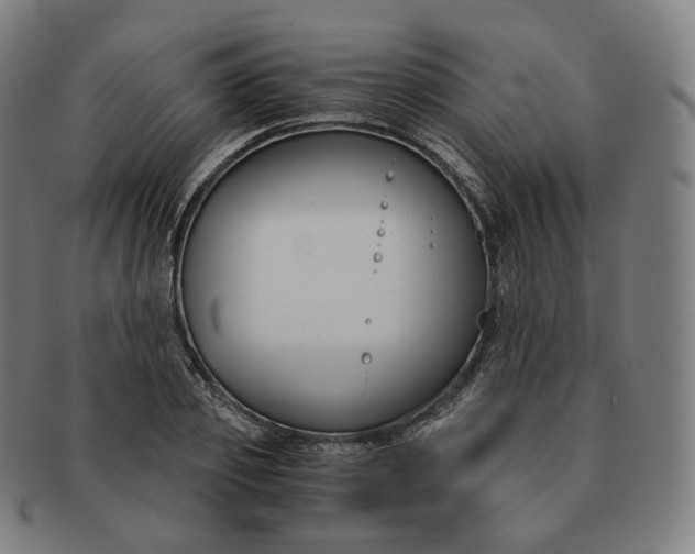 X0000091300933200708241048