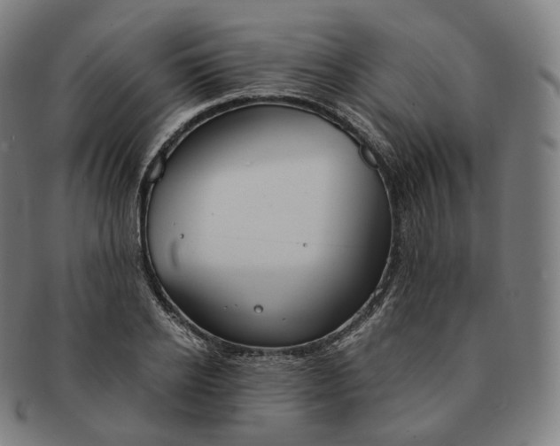 X0000091300934200708241048