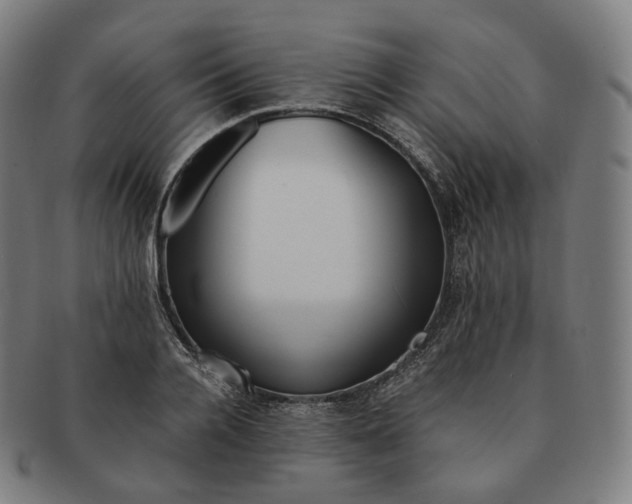 X0000091300936200708241048