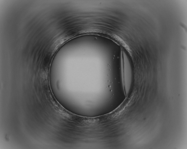 X0000091300937200708241048