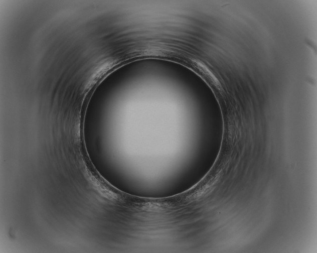 X0000091300938200708241048