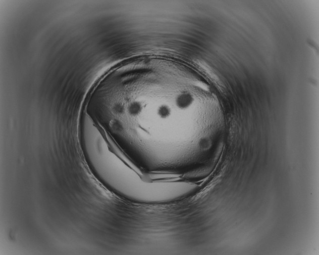 X0000091300940200708241048