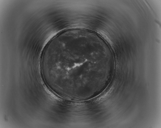 X0000091300941200708241048