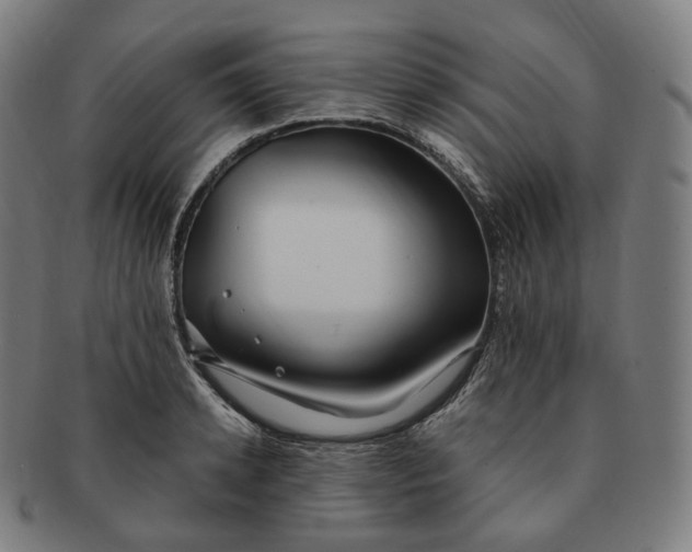 X0000091300942200708241048