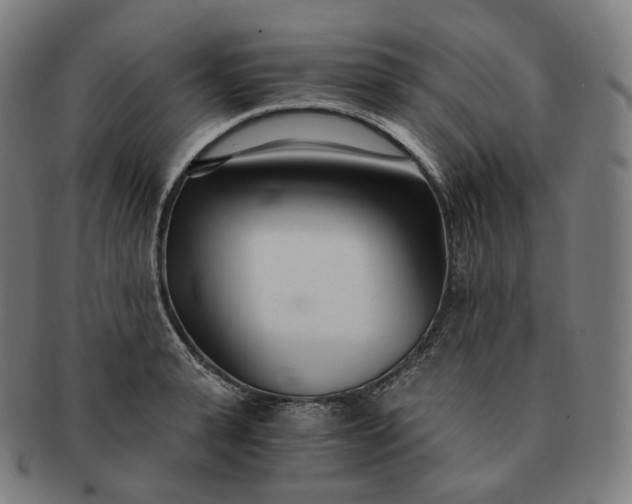 X0000091300943200708241048