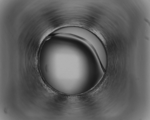 X0000091300944200708241048