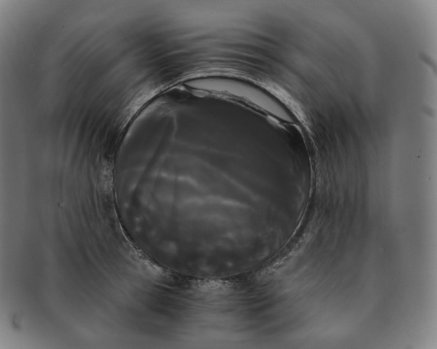 X0000091300945200708241048