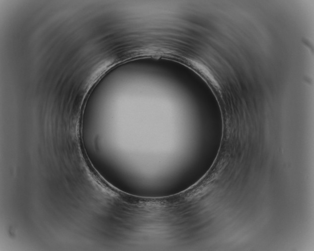 X0000091300946200708241048