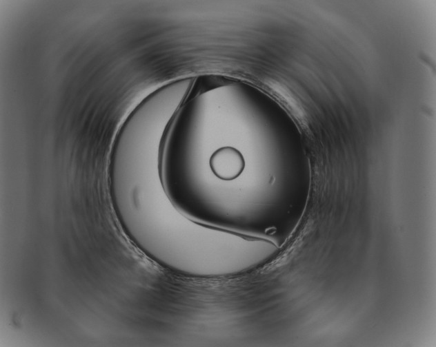 X0000091300948200708241048