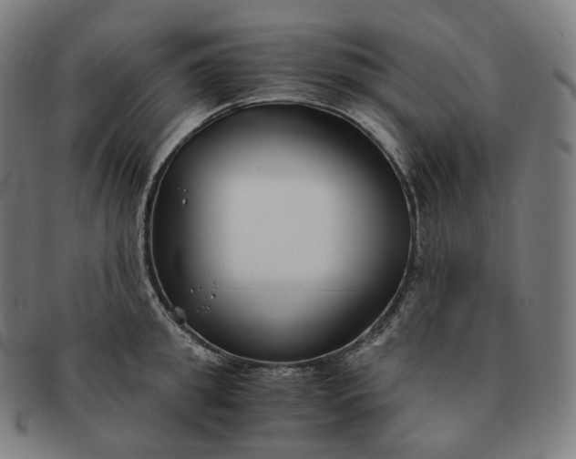 X0000091300949200708241048