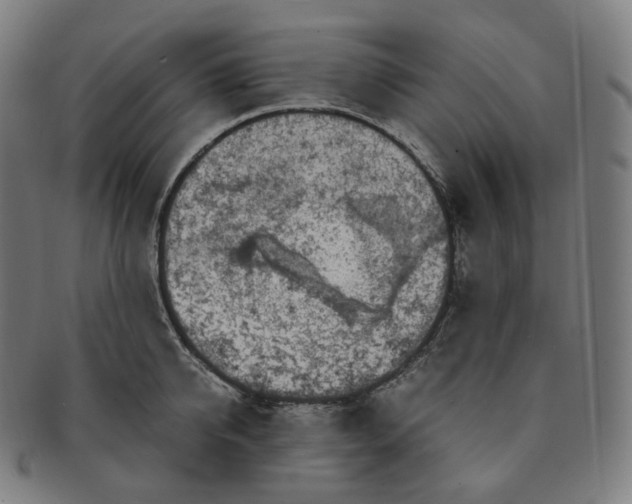 X0000091300950200708241048