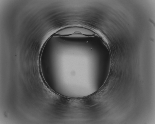 X0000091300951200708241048