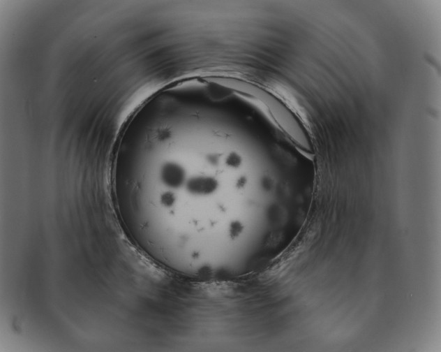 X0000091300952200708241048
