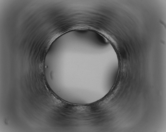 X0000091300953200708241048