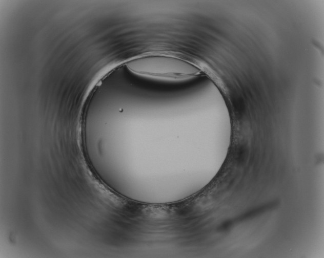 X0000091300955200708241048