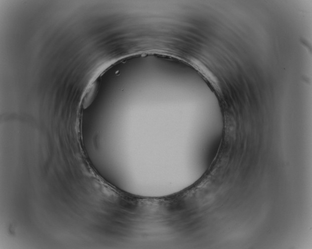 X0000091300956200708241048