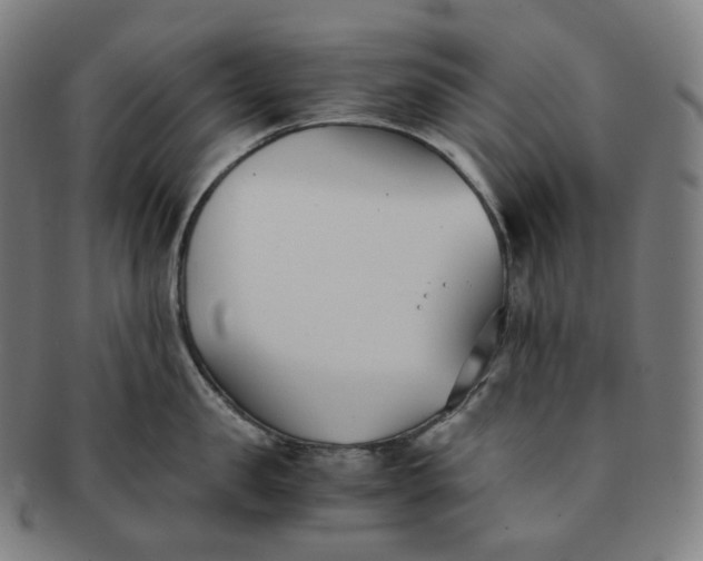 X0000091300957200708241048