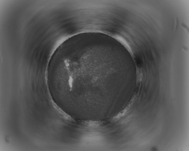 X0000091300958200708241048