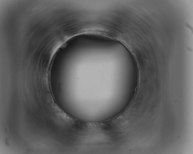 X0000091300960200708241048