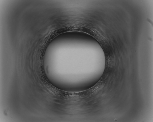 X0000091300961200708241047