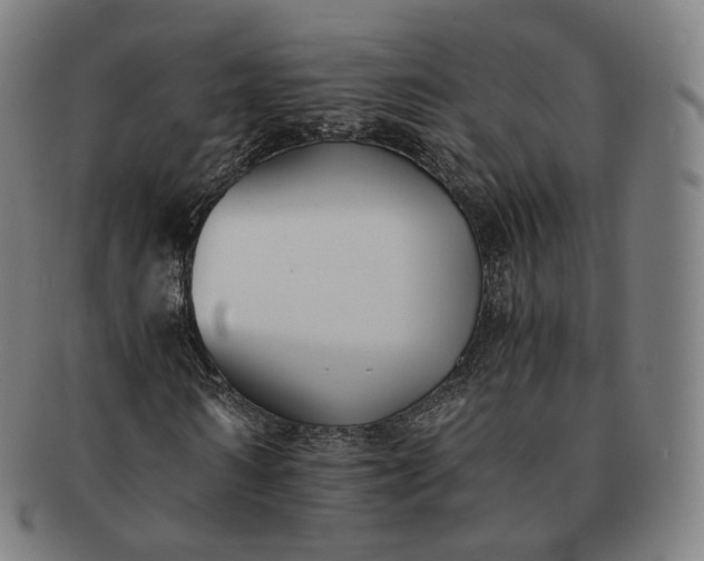 X0000091300962200708241047