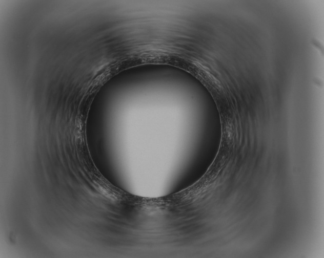 X0000091300964200708241047