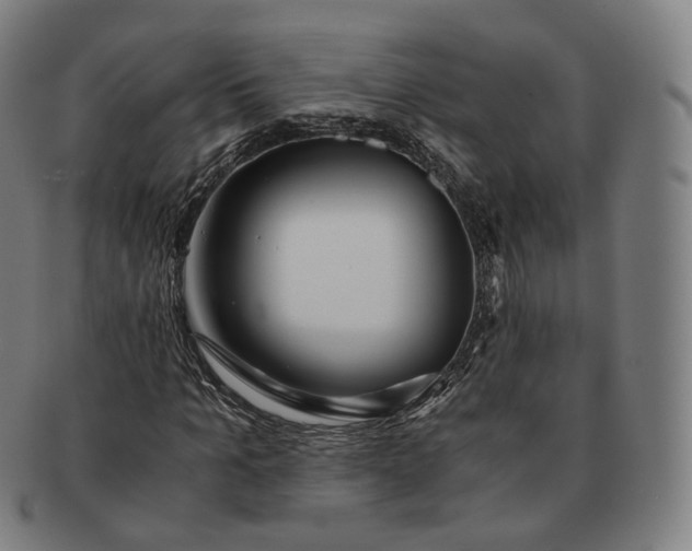 X0000091300965200708241047