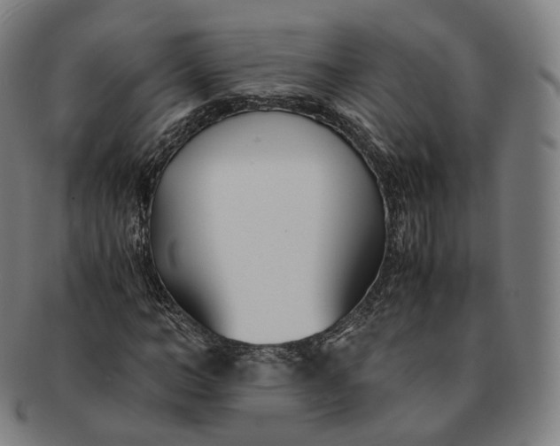 X0000091300966200708241047