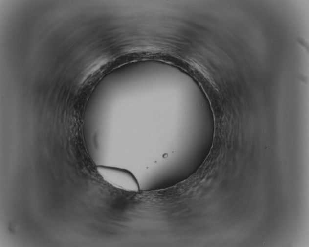 X0000091300967200708241047