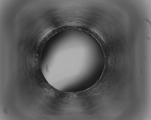 X0000091300968200708241047