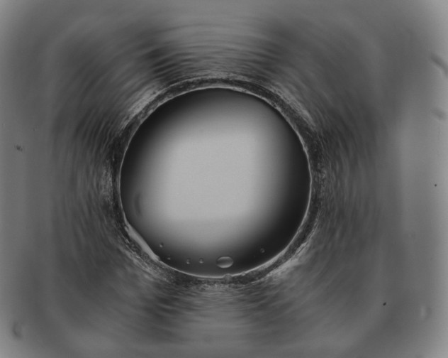 X0000091300969200708241047