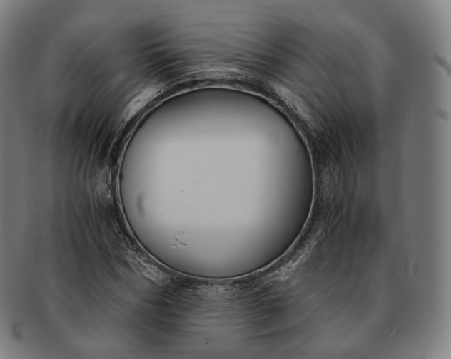 X0000091300970200708241047