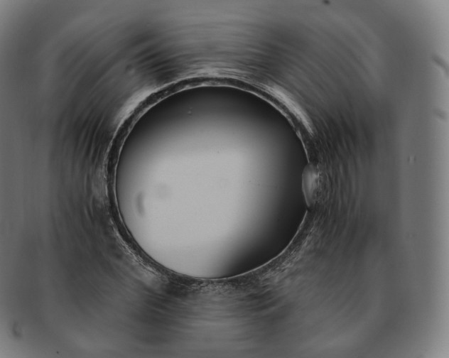 X0000091300972200708241047