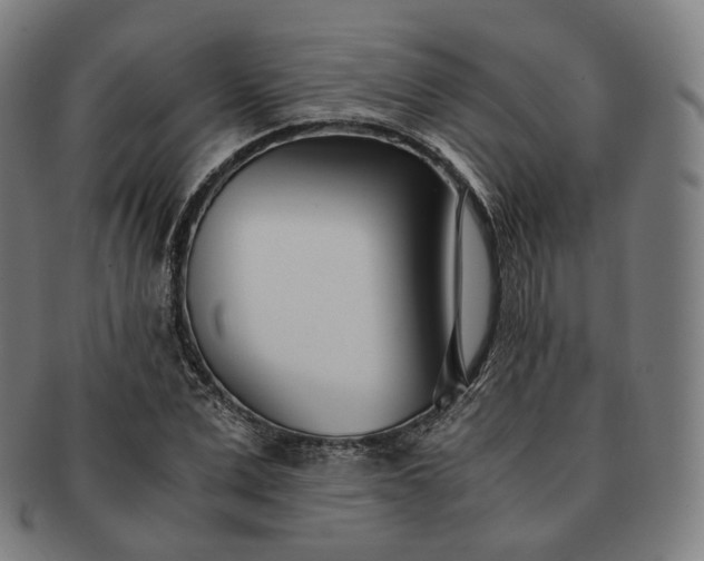 X0000091300975200708241047