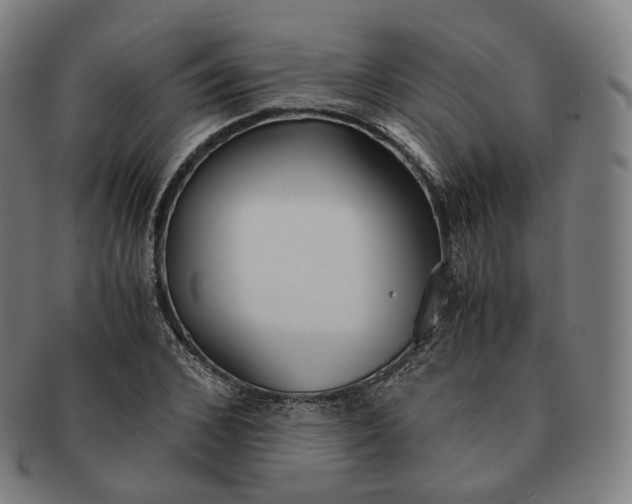 X0000091300976200708241047