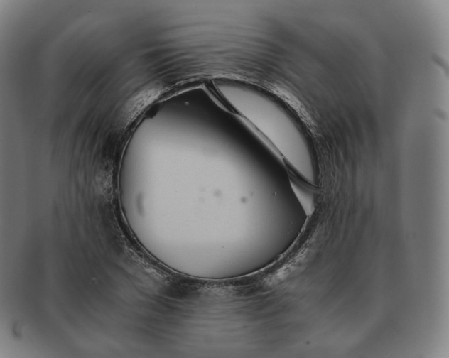 X0000091300977200708241047