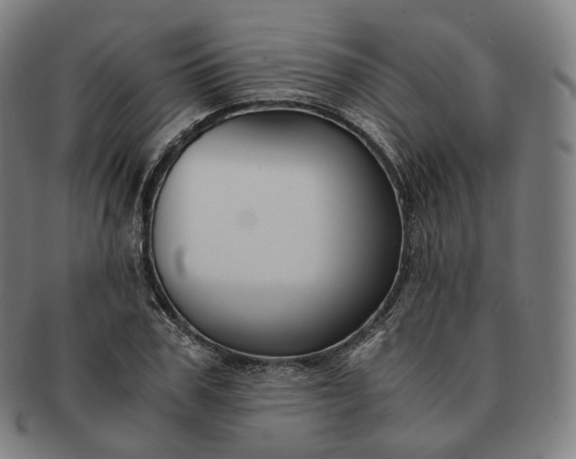 X0000091300979200708241047