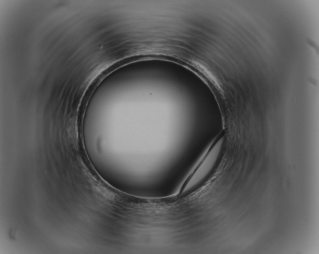 X0000091300980200708241047