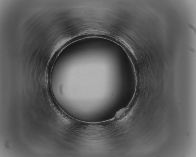 X0000091300981200708241047