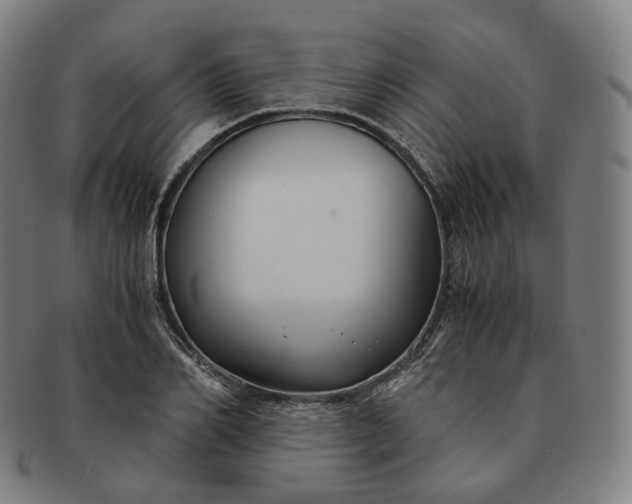 X0000091300982200708241047