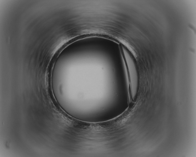 X0000091300983200708241047