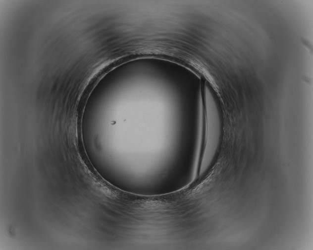 X0000091300984200708241047