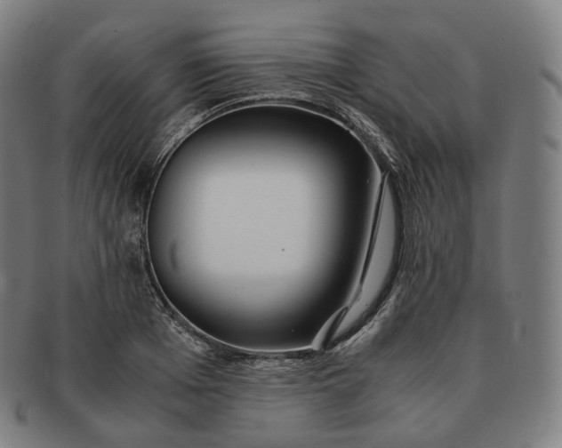 X0000091300985200708241047