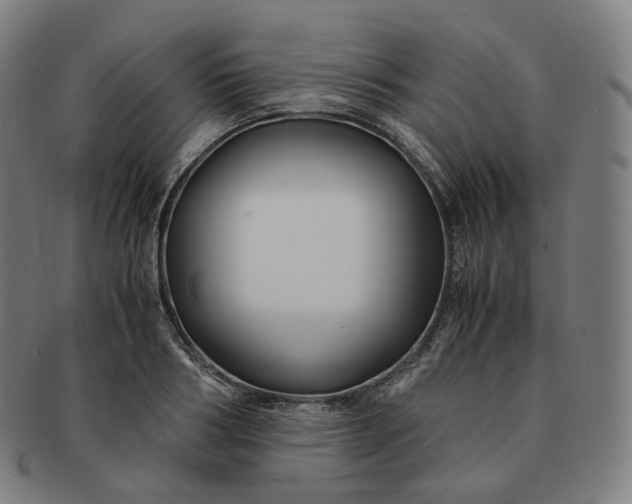 X0000091300986200708241047