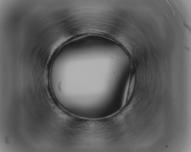 X0000091300987200708241047